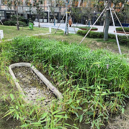 项目前期立项技术咨询